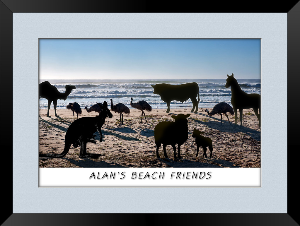 Click image for larger version

Name:	alan-beach-buddies-2-E-copy.jpg
Views:	41
Size:	210.3 KB
ID:	440231