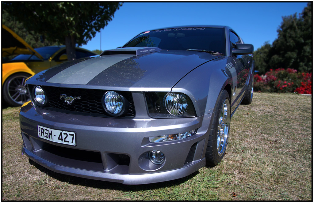 Click image for larger version

Name:	Mustang.jpg
Views:	31
Size:	323.7 KB
ID:	440307