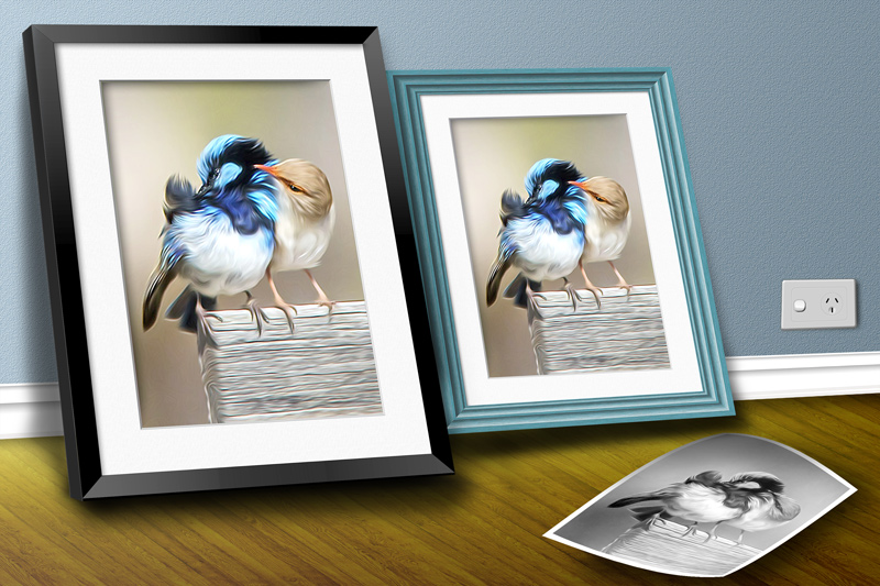 Click image for larger version

Name:	Blue-Wren.jpg
Views:	50
Size:	193.6 KB
ID:	440495