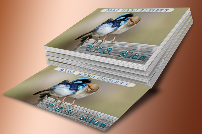 Click image for larger version

Name:	Blue-Wren-Society-BizCards.jpg
Views:	457
Size:	197.1 KB
ID:	440496