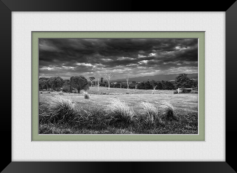 Click image for larger version

Name:	alan-bushBW-E.jpg
Views:	50
Size:	197.4 KB
ID:	440778