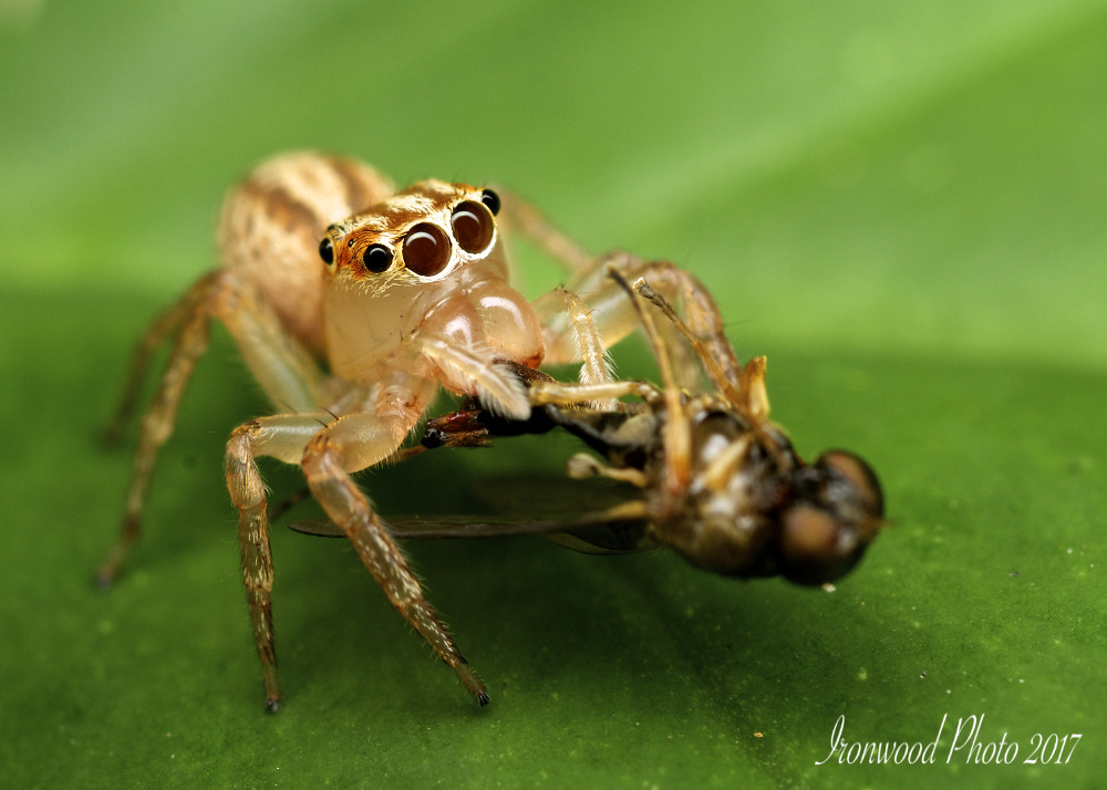 Click image for larger version

Name:	DSC_8105.jpg
Views:	38
Size:	179.8 KB
ID:	441764