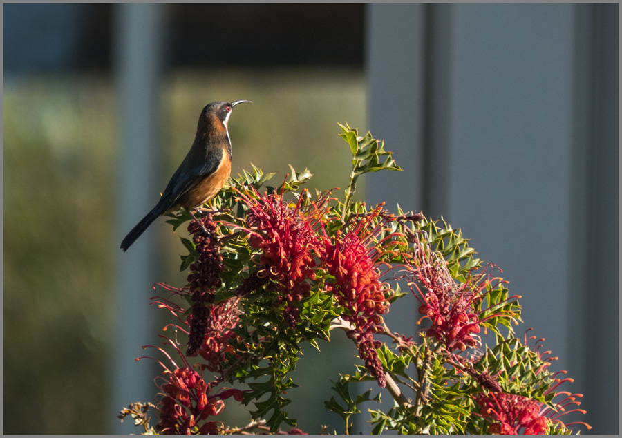 Click image for larger version

Name:	sb1 .jpg
Views:	20
Size:	249.0 KB
ID:	444039
