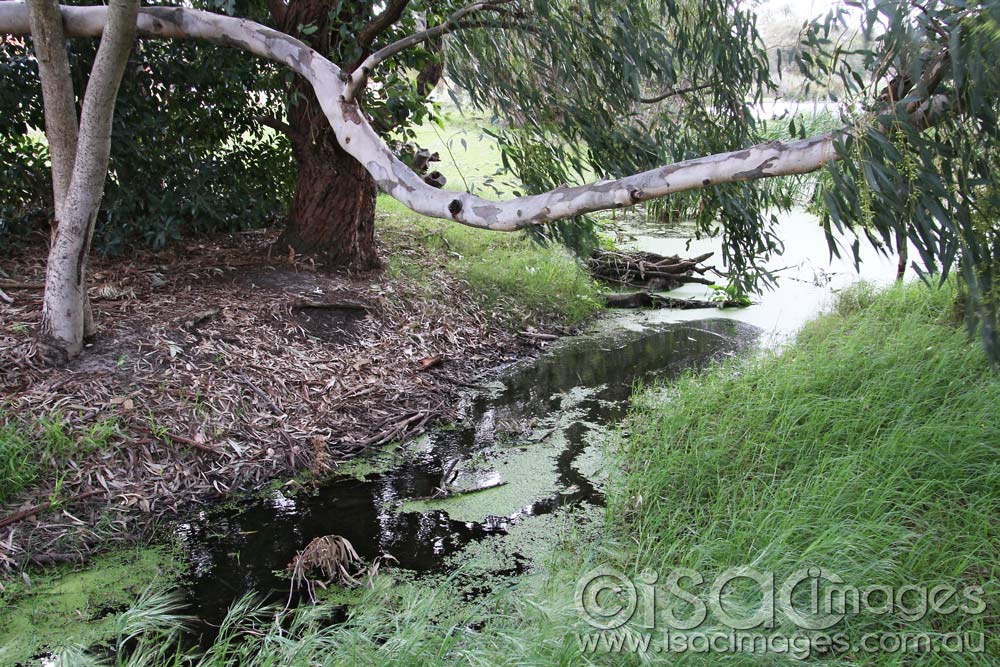 Click image for larger version

Name:	Lake-3.jpg
Views:	50
Size:	196.1 KB
ID:	445893