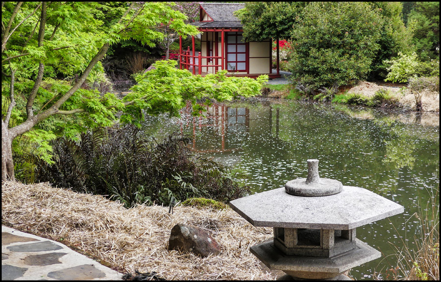 Click image for larger version

Name:	Bird feeder .jpg
Views:	44
Size:	352.1 KB
ID:	446323