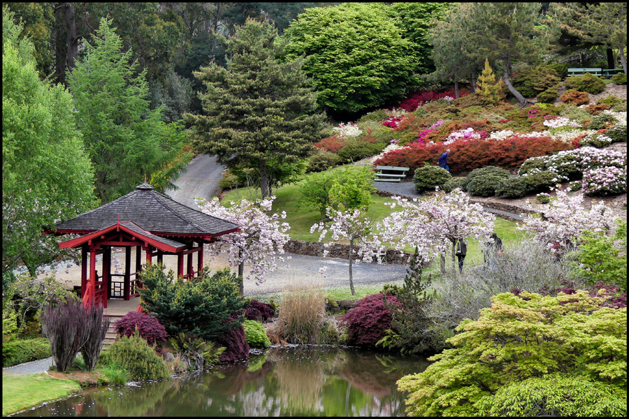 Click image for larger version

Name:	Lake and garden .jpg
Views:	807
Size:	357.3 KB
ID:	446329