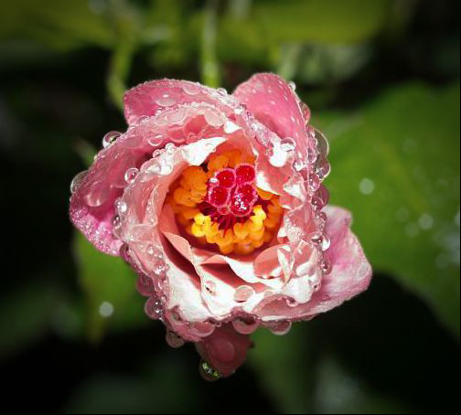 Click image for larger version

Name:	Wet.JPG
Views:	49
Size:	137.1 KB
ID:	449146