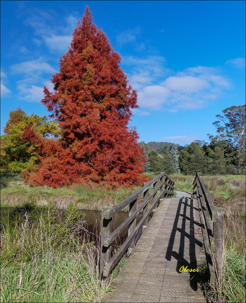 Click image for larger version

Name:	Red .jpg
Views:	39
Size:	531.7 KB
ID:	451500