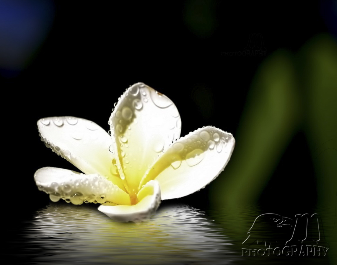Click image for larger version

Name:	SH7_ 74.jpg
Views:	24
Size:	168.3 KB
ID:	452073