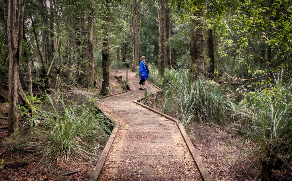 Click image for larger version

Name:	Woods walker.jpg
Views:	28
Size:	508.0 KB
ID:	452469