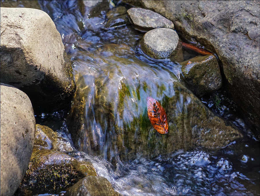 Click image for larger version

Name:	Trapped leaf .jpg
Views:	31
Size:	390.5 KB
ID:	454263