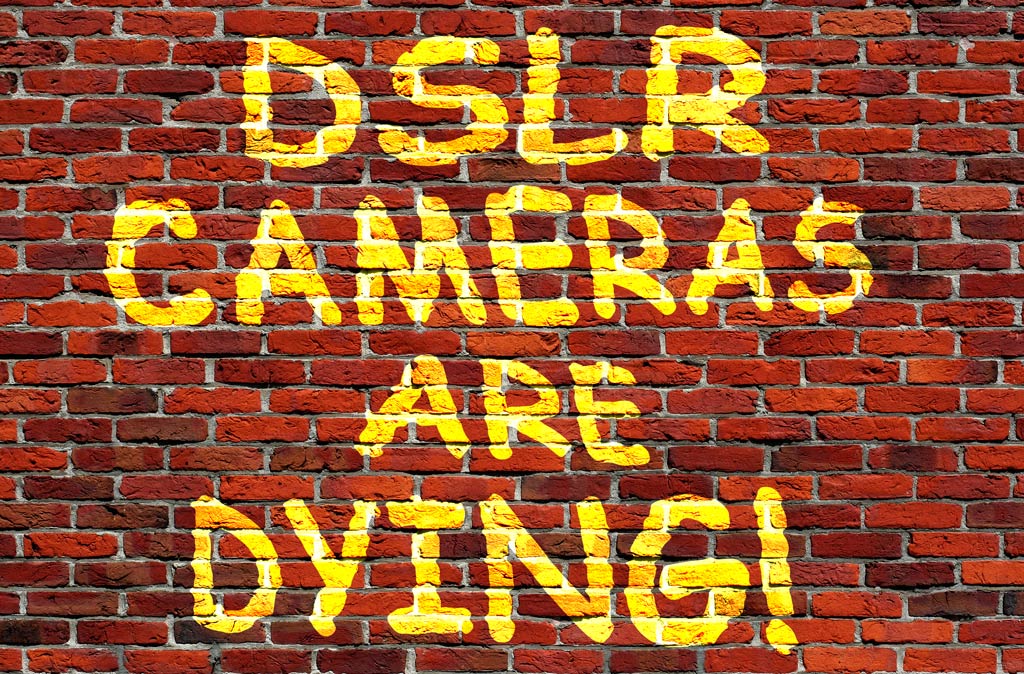 Click image for larger version

Name:	DSLR-Dying.jpg
Views:	87
Size:	240.5 KB
ID:	455658