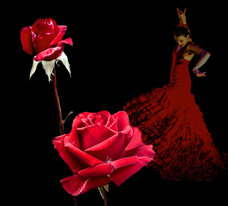 Click image for larger version

Name:	2 reds-E.jpg
Views:	55
Size:	67.0 KB
ID:	457787