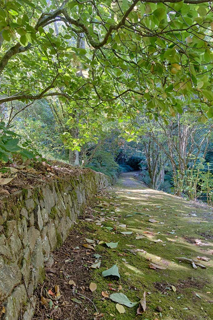 Click image for larger version

Name:	Pirianda-Gardens-edit.jpg
Views:	52
Size:	326.7 KB
ID:	458094