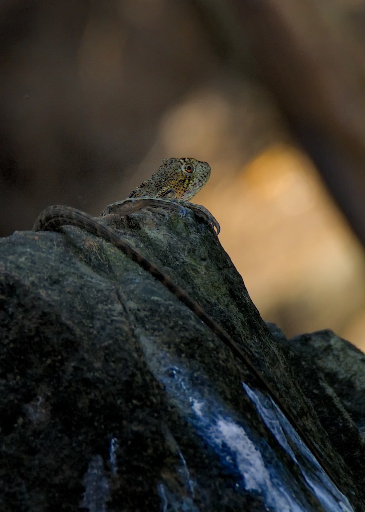 Click image for larger version

Name:	DSC_7749.jpg
Views:	42
Size:	130.0 KB
ID:	458238