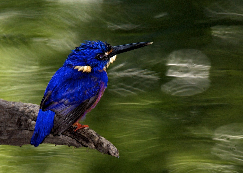 Click image for larger version

Name:	DSC_7714.jpg
Views:	40
Size:	169.1 KB
ID:	458240
