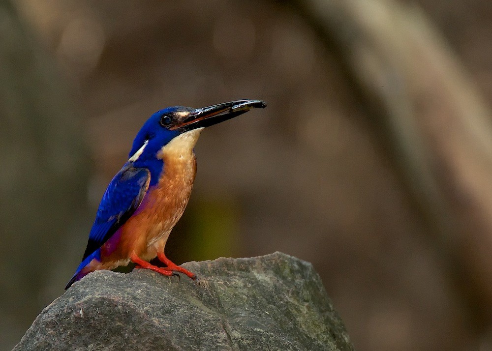 Click image for larger version

Name:	DSC_7720.jpg
Views:	45
Size:	143.7 KB
ID:	458241
