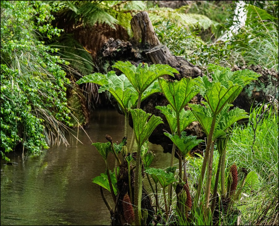 Click image for larger version

Name:	Creek side r.jpg
Views:	41
Size:	309.6 KB
ID:	458439