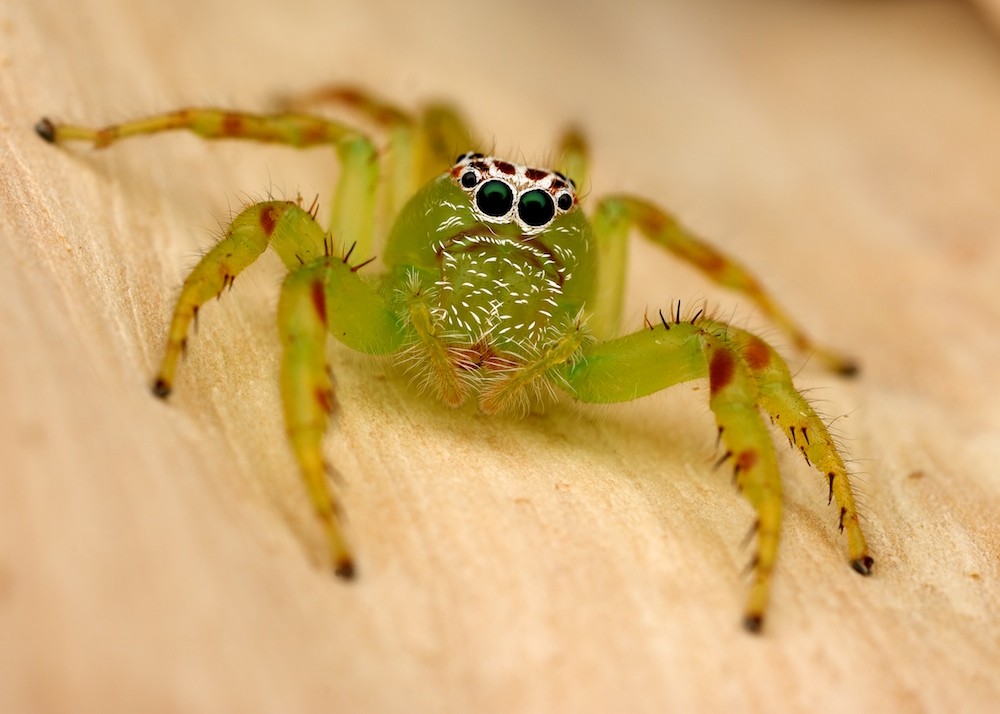 Click image for larger version

Name:	DSC_7917.jpg
Views:	52
Size:	101.2 KB
ID:	459797