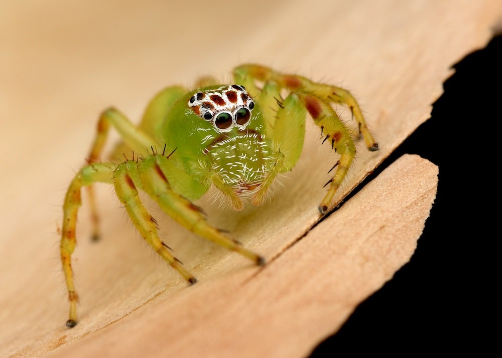 Click image for larger version

Name:	DSC_7964.jpg
Views:	98
Size:	94.9 KB
ID:	459801