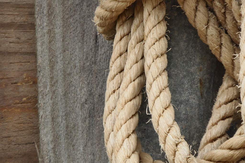 Click image for larger version

Name:	Old Rope for APH Forum.jpg
Views:	41
Size:	228.2 KB
ID:	461836