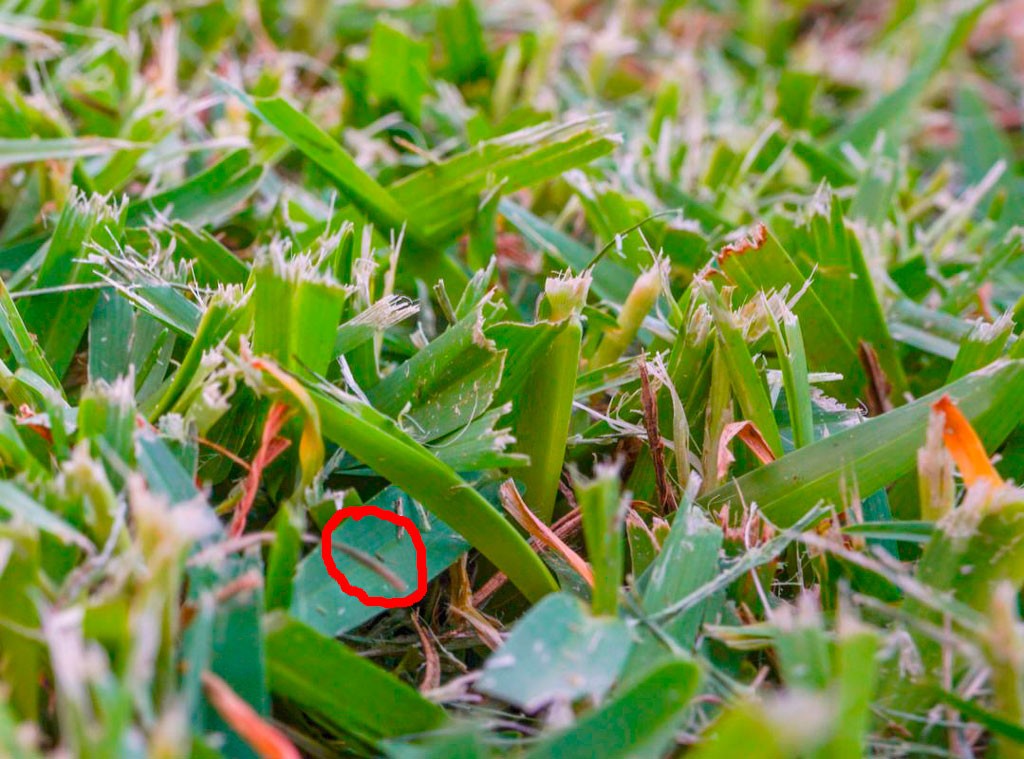 Click image for larger version

Name:	Ant.jpg
Views:	36
Size:	192.3 KB
ID:	461932