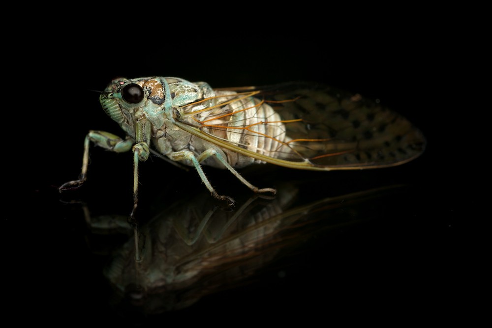 Click image for larger version

Name:	DSC_8434.jpg
Views:	39
Size:	56.4 KB
ID:	461941