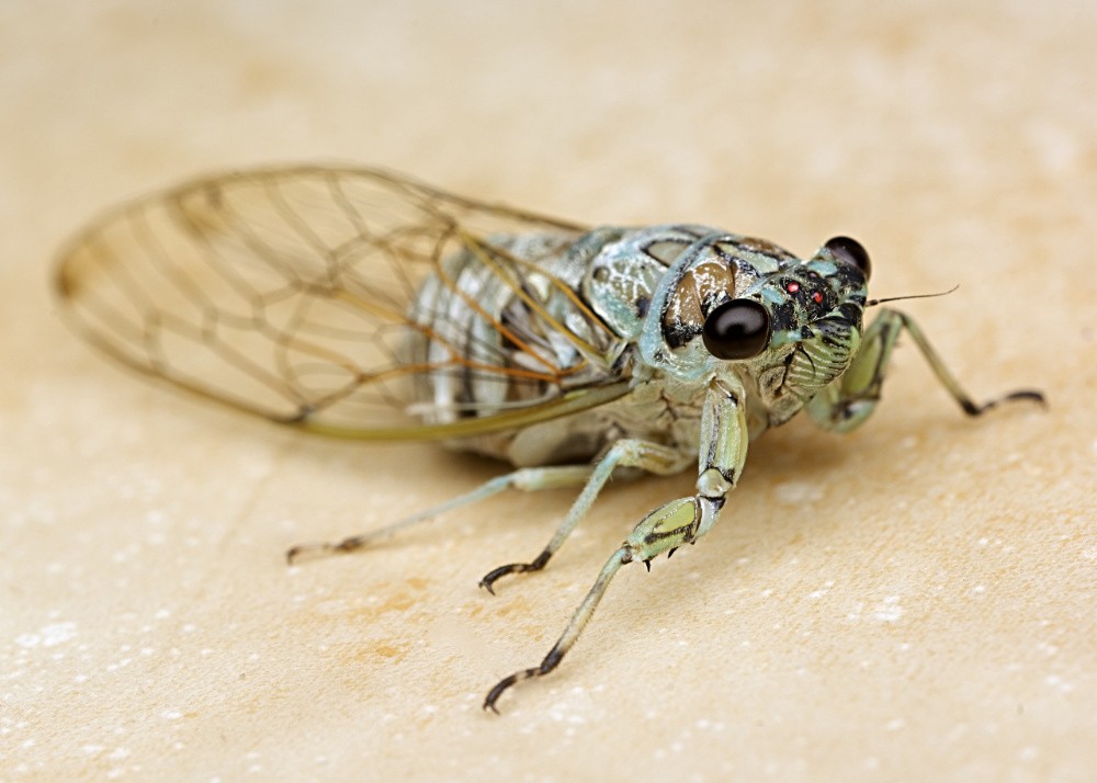 Click image for larger version

Name:	DSC_8361.jpg
Views:	40
Size:	114.0 KB
ID:	461964