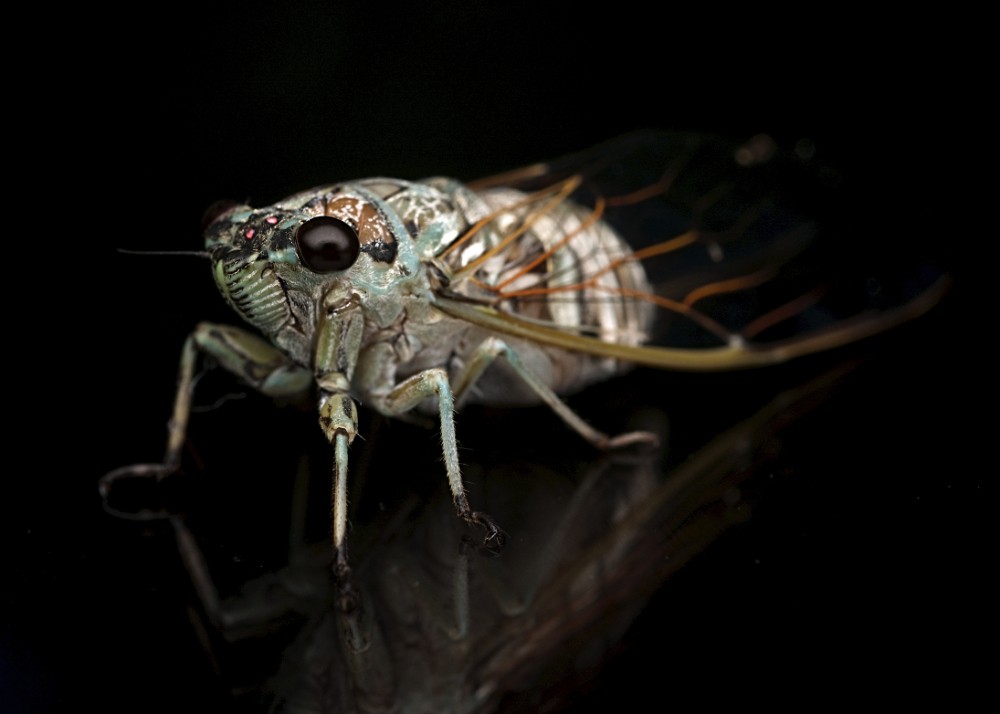 Click image for larger version

Name:	DSC_8400.jpg
Views:	39
Size:	66.9 KB
ID:	461969