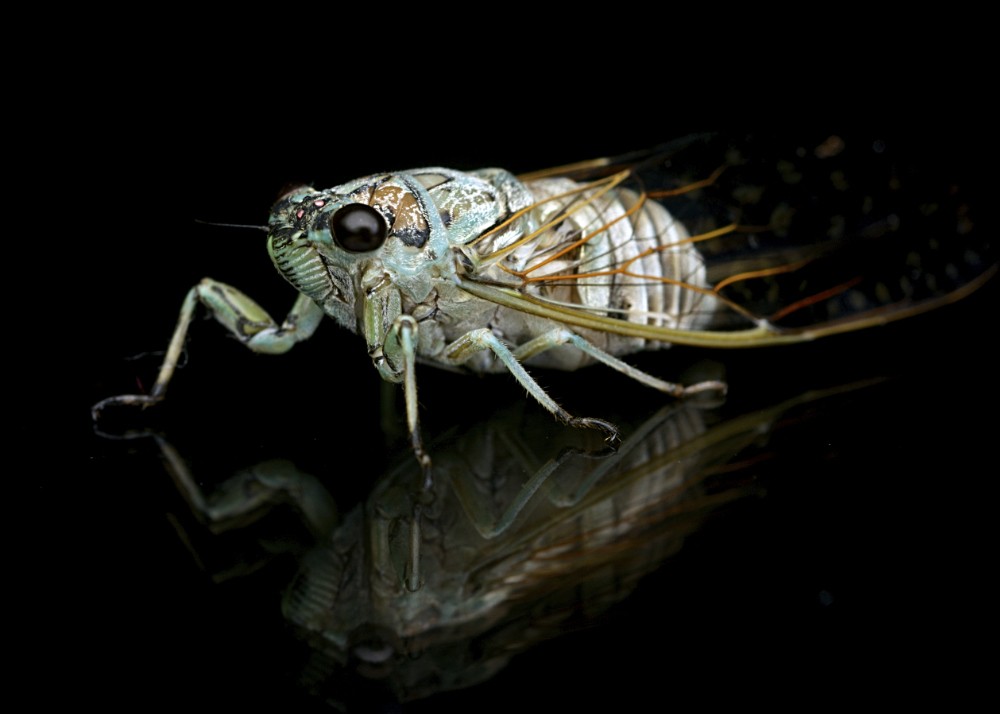 Click image for larger version

Name:	DSC_8431.jpg
Views:	39
Size:	71.1 KB
ID:	461970