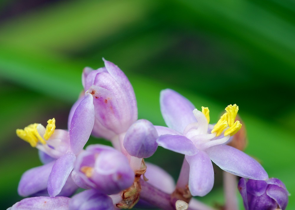 Click image for larger version

Name:	DSC_9026.jpg
Views:	51
Size:	96.7 KB
ID:	462930