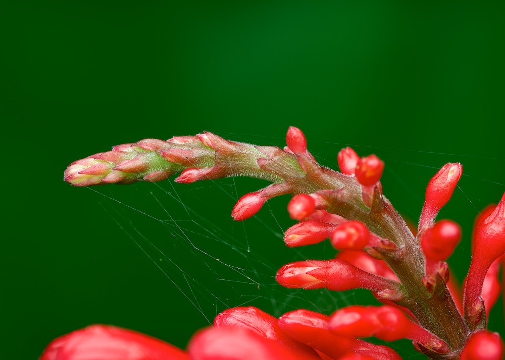 Click image for larger version

Name:	DSC_9037.jpg
Views:	46
Size:	109.6 KB
ID:	462931