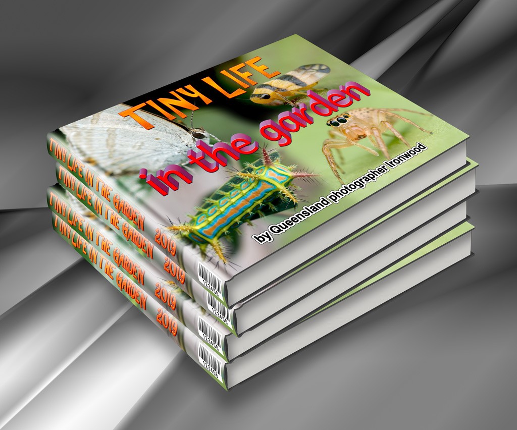 Click image for larger version

Name:	Tiny-Life-BOOKS.jpg
Views:	42
Size:	174.1 KB
ID:	462941
