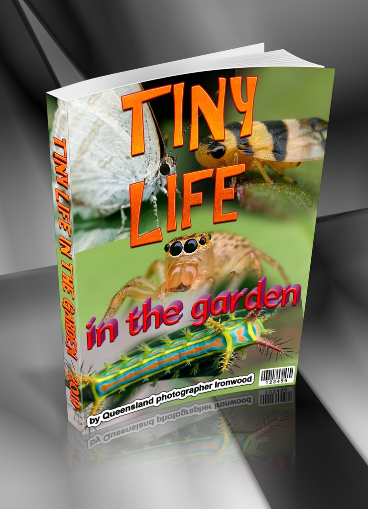 Click image for larger version

Name:	Tiny-Life-Paperback-BOOK.jpg
Views:	48
Size:	160.7 KB
ID:	462942
