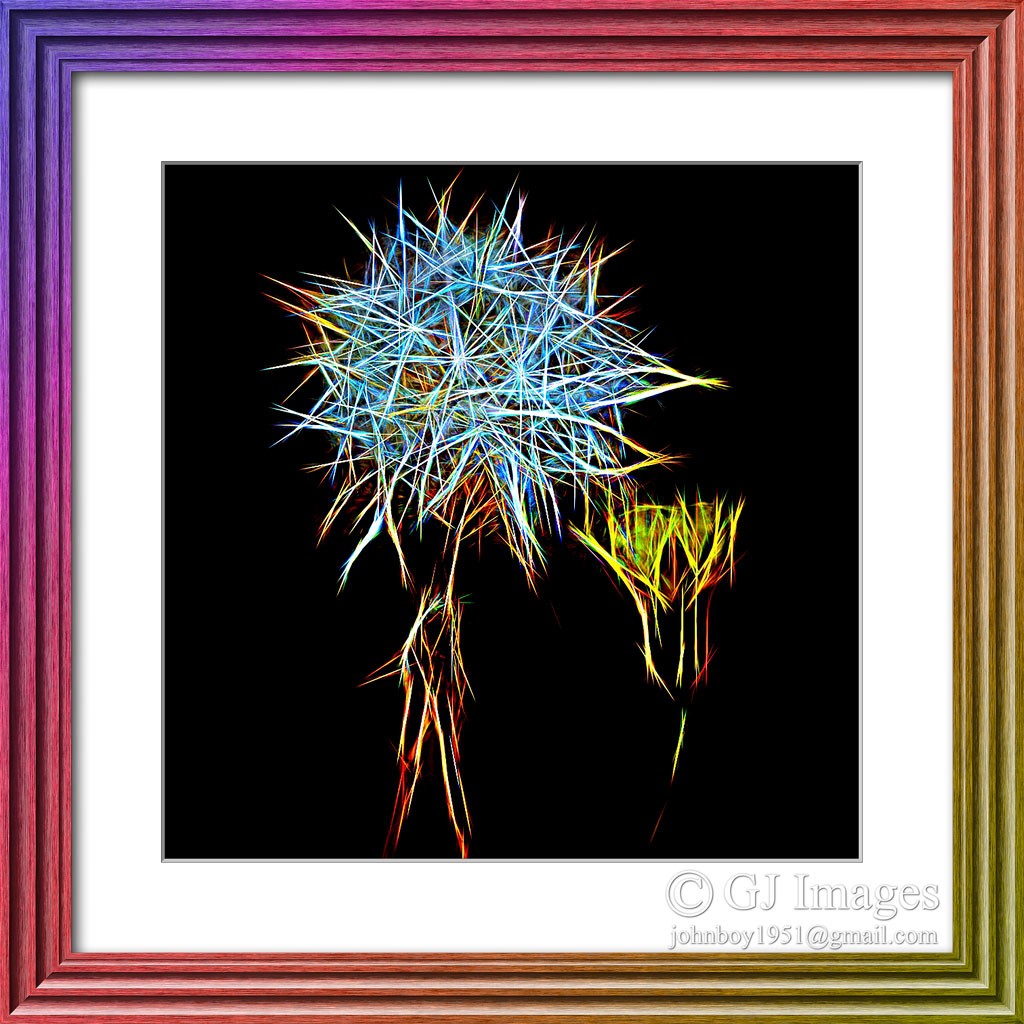 Click image for larger version

Name:	Dandelion.jpg
Views:	35
Size:	234.0 KB
ID:	463224
