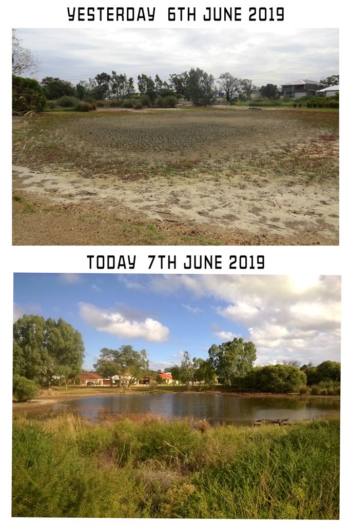 Click image for larger version

Name:	Yesterday-Today-LAKE.jpg
Views:	15
Size:	220.4 KB
ID:	464678