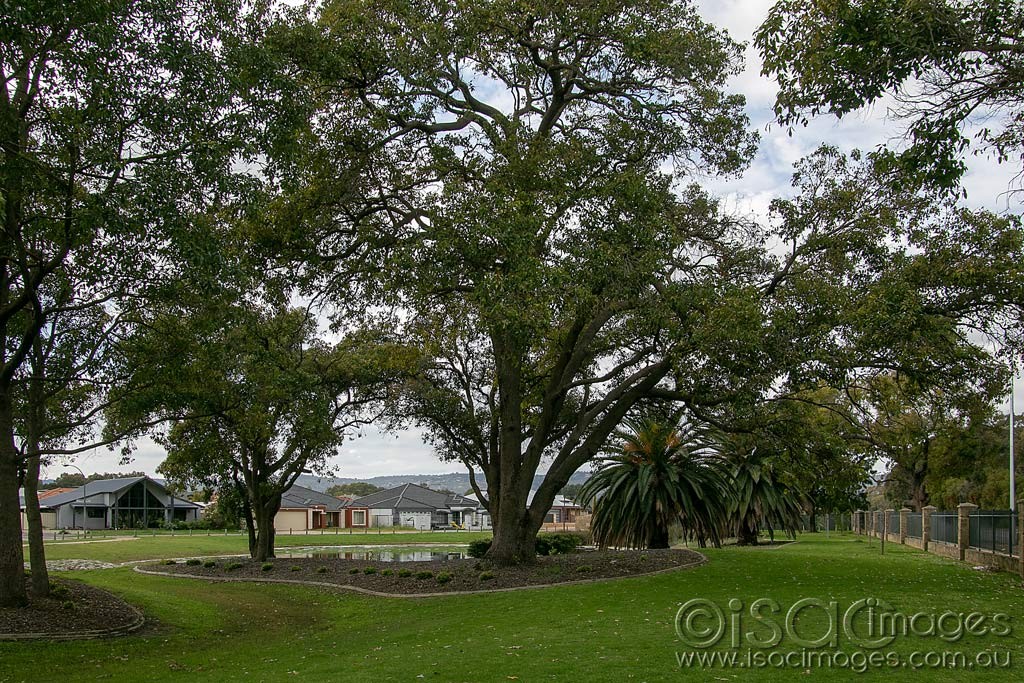 Click image for larger version

Name:	0600-Welshpool_Park.jpg
Views:	20
Size:	365.7 KB
ID:	466258
