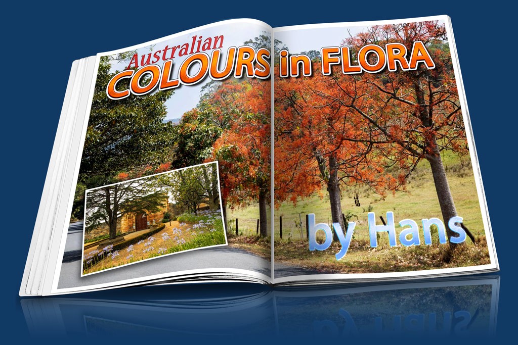 Click image for larger version

Name:	Australian_Colours_Hans_MAGAZINE.jpg
Views:	42
Size:	230.5 KB
ID:	468675