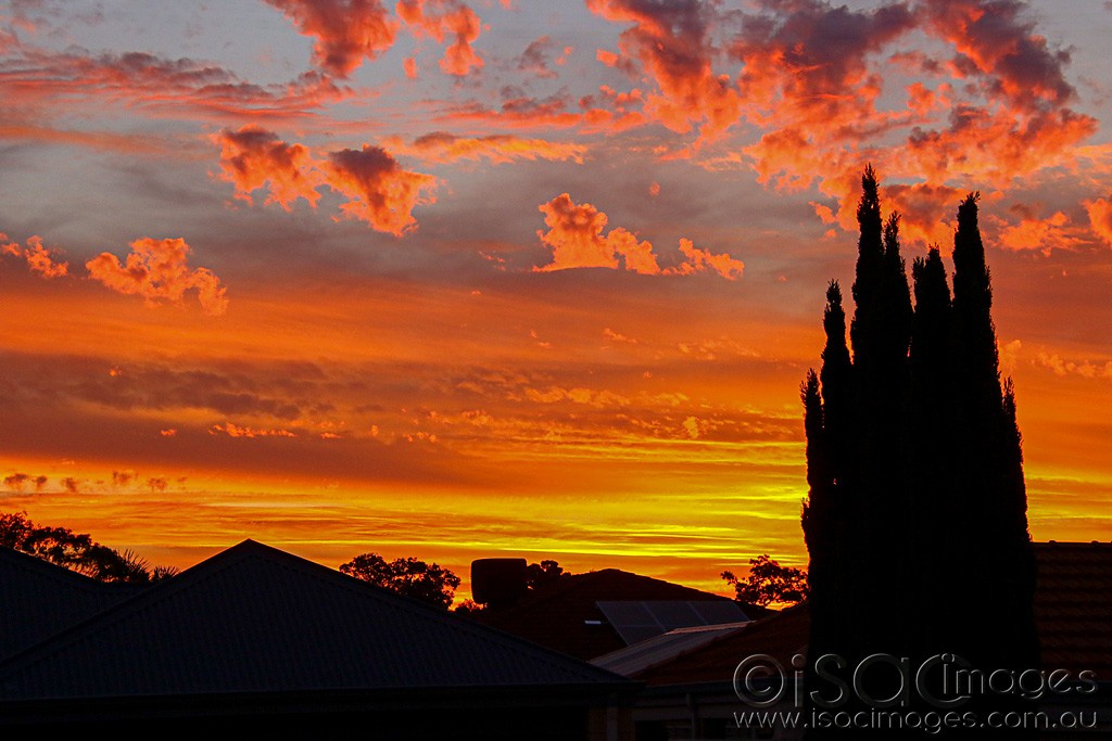 Click image for larger version

Name:	3680-Sunset.jpg
Views:	175
Size:	150.4 KB
ID:	468703