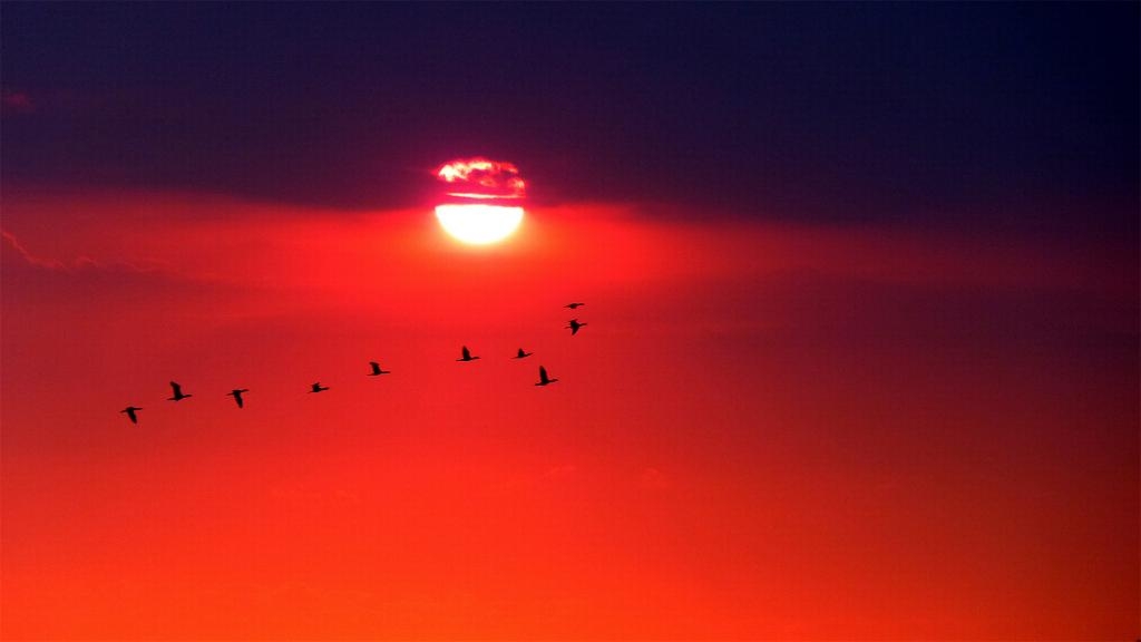 Click image for larger version

Name:	Flying high.jpg
Views:	68
Size:	117.6 KB
ID:	469754