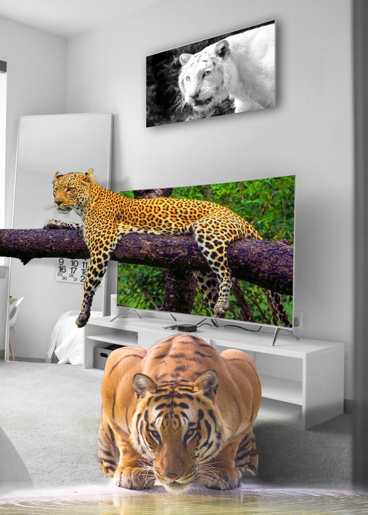 Click image for larger version

Name:	Leopard.jpg
Views:	46
Size:	429.5 KB
ID:	469966