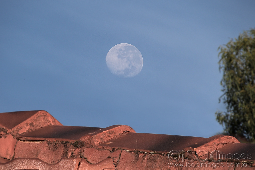 Click image for larger version

Name:	027A5077-Over_The_Moon.jpg
Views:	30
Size:	374.8 KB
ID:	470133