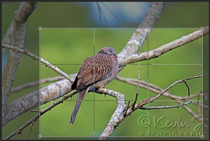 Click image for larger version

Name:	image_36417.jpg
Views:	41
Size:	229.7 KB
ID:	470640