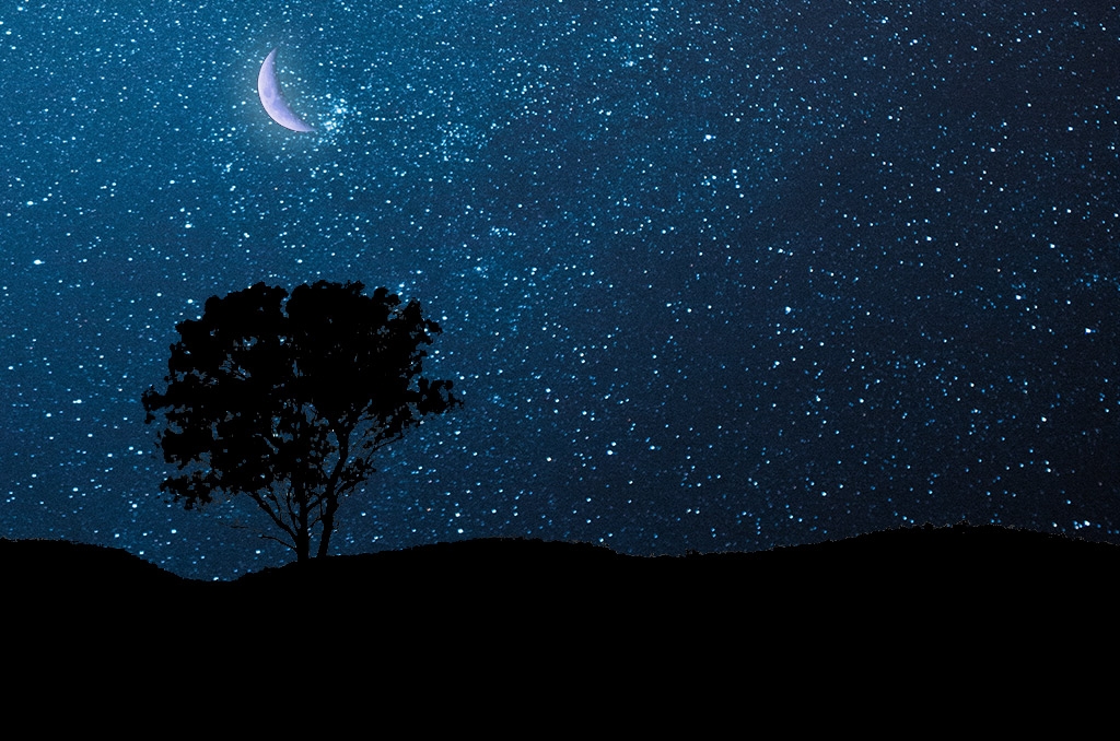 Click image for larger version

Name:	Moon-2.jpg
Views:	177
Size:	502.6 KB
ID:	471034