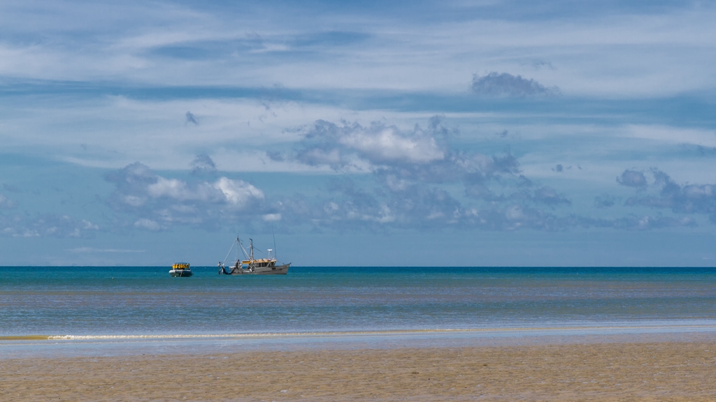 Click image for larger version

Name:	Cape Tribulation 11.jpg
Views:	45
Size:	305.3 KB
ID:	471754