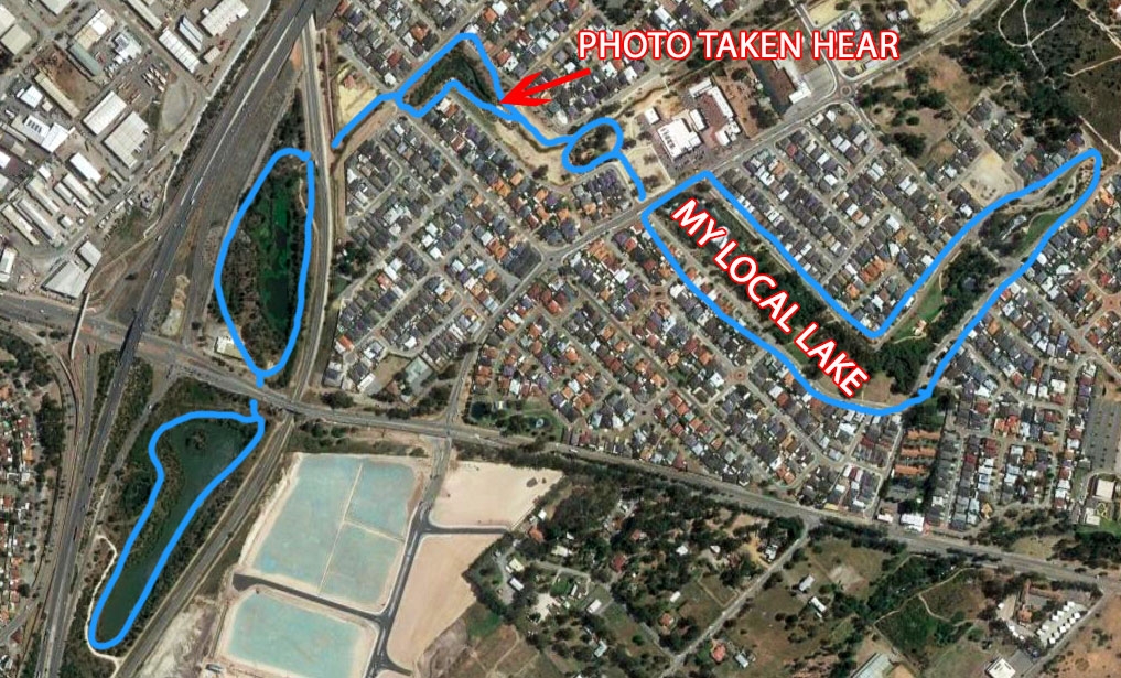 Click image for larger version

Name:	Lake_Map_WG.jpg
Views:	29
Size:	570.7 KB
ID:	473108