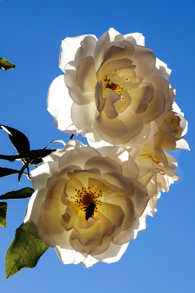 Click image for larger version

Name:	19042197.jpg
Views:	49
Size:	368.0 KB
ID:	473620