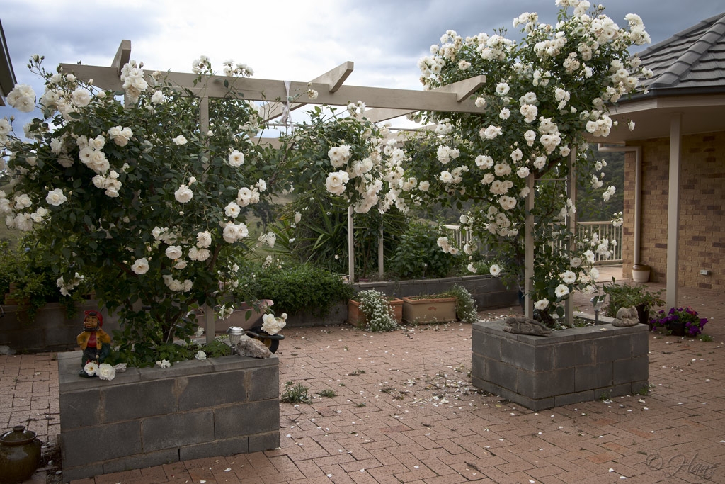 Click image for larger version

Name:	20107783.jpg
Views:	55
Size:	572.2 KB
ID:	474429