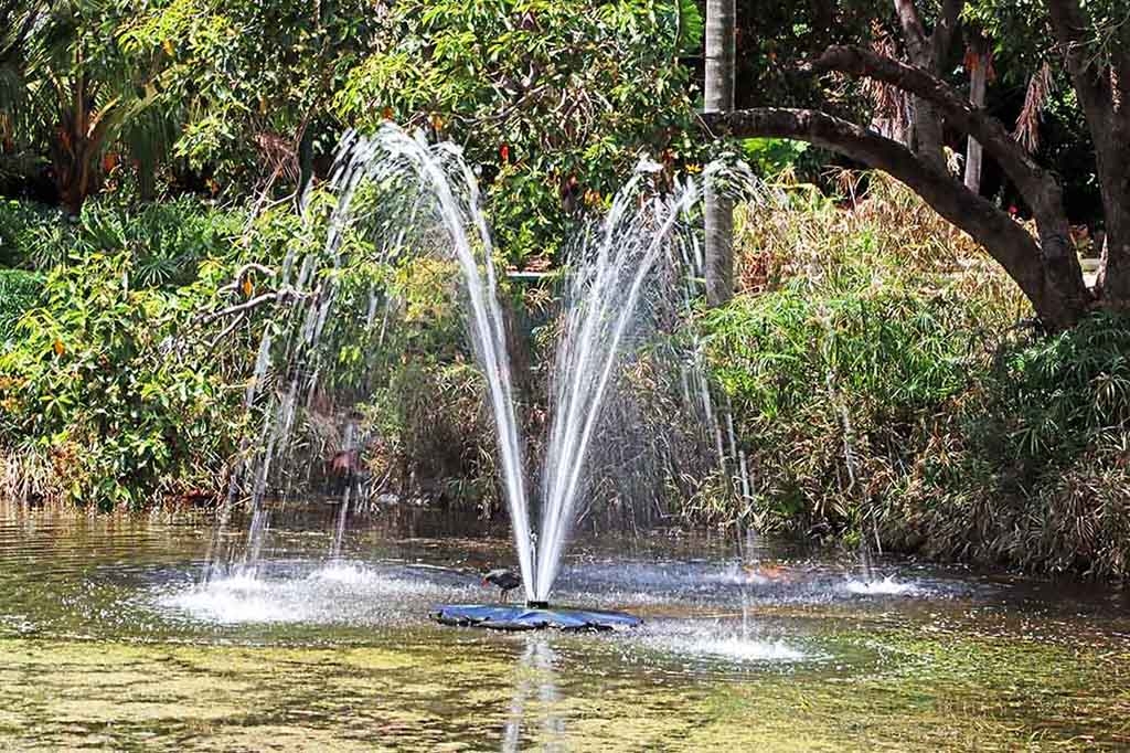 Click image for larger version

Name:	Fountain 1.jpg
Views:	76
Size:	566.4 KB
ID:	475011