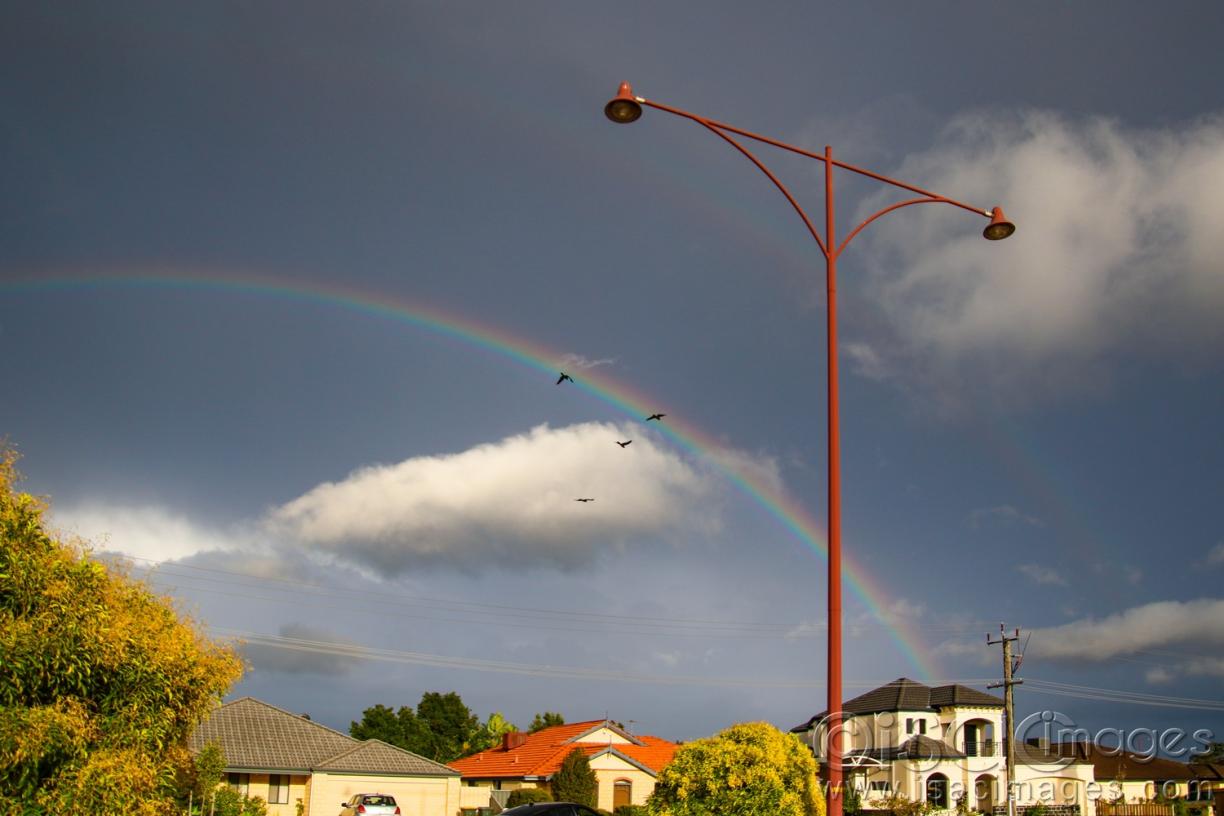 Click image for larger version

Name:	9035-Rainbow.jpg
Views:	94
Size:	80.5 KB
ID:	479027